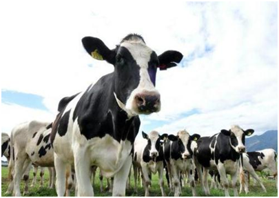 1574817802100350.png 微信圖片_20191127092243.png